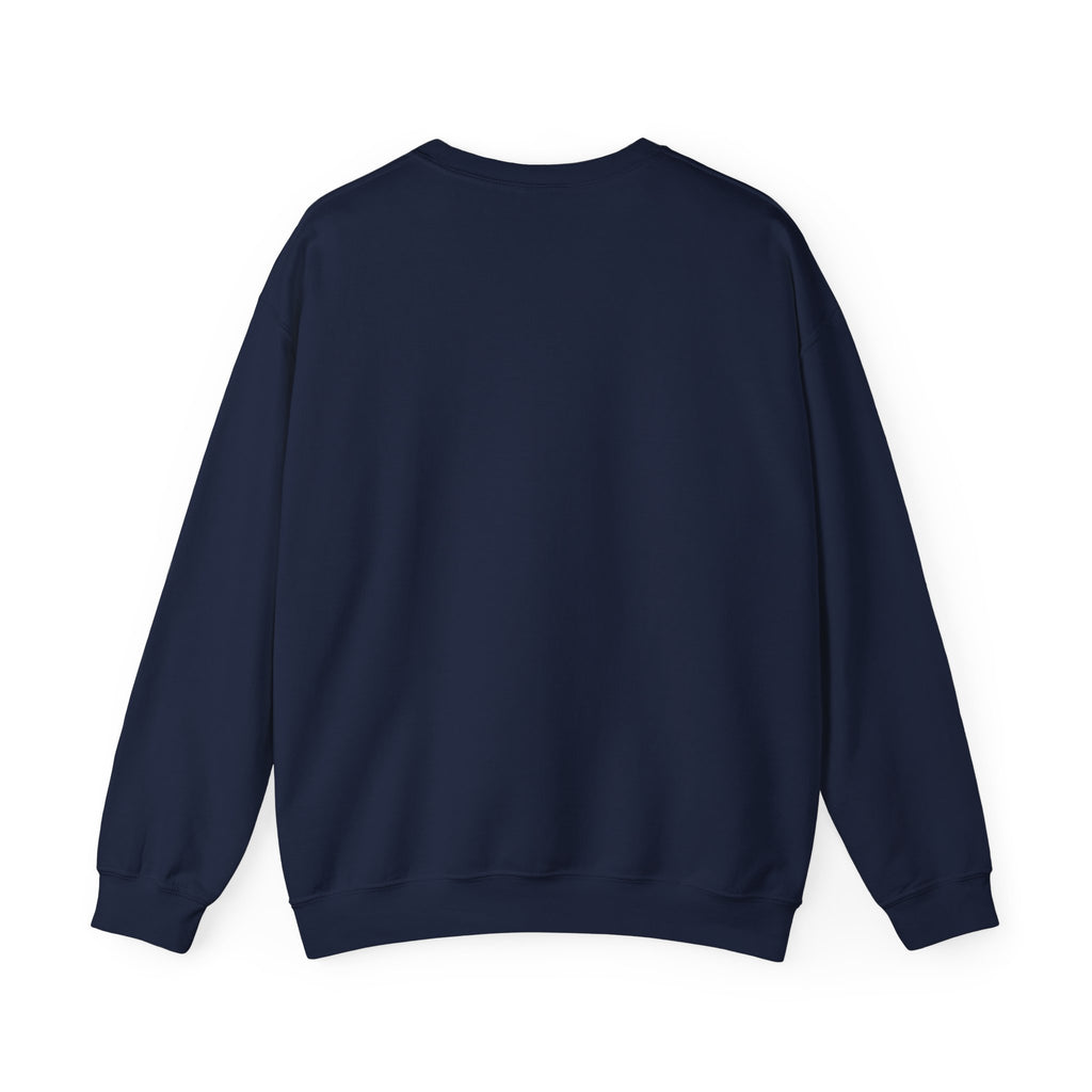 4th of July Road Trip Sweatshirt | vintage USA, red white blue