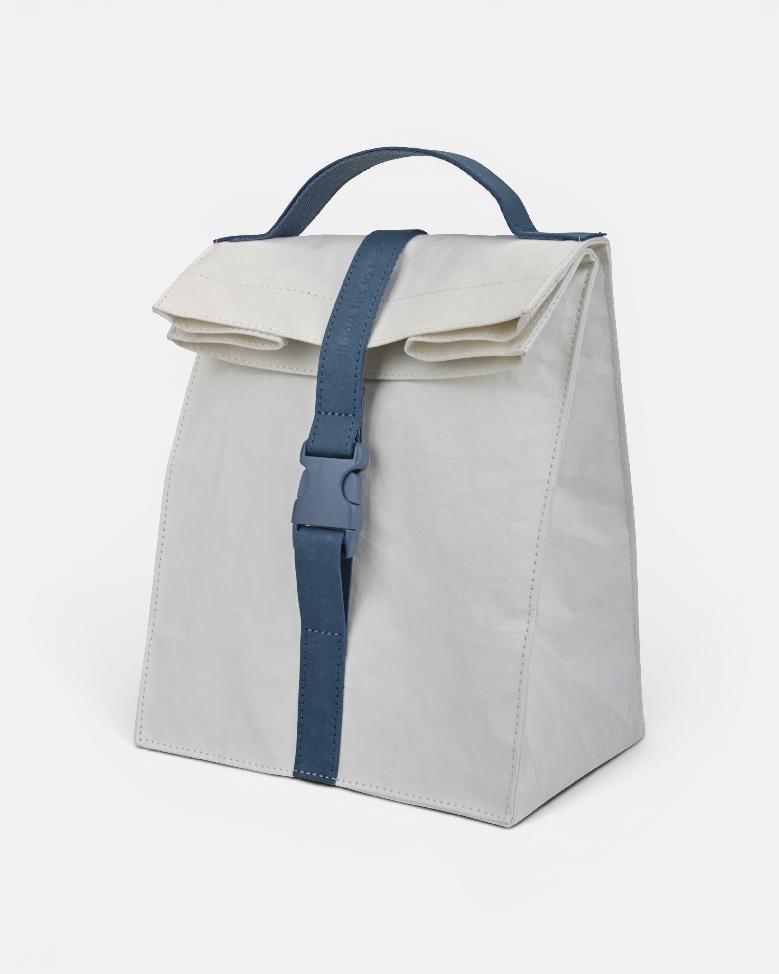 Paper Sack Lunch Cooler