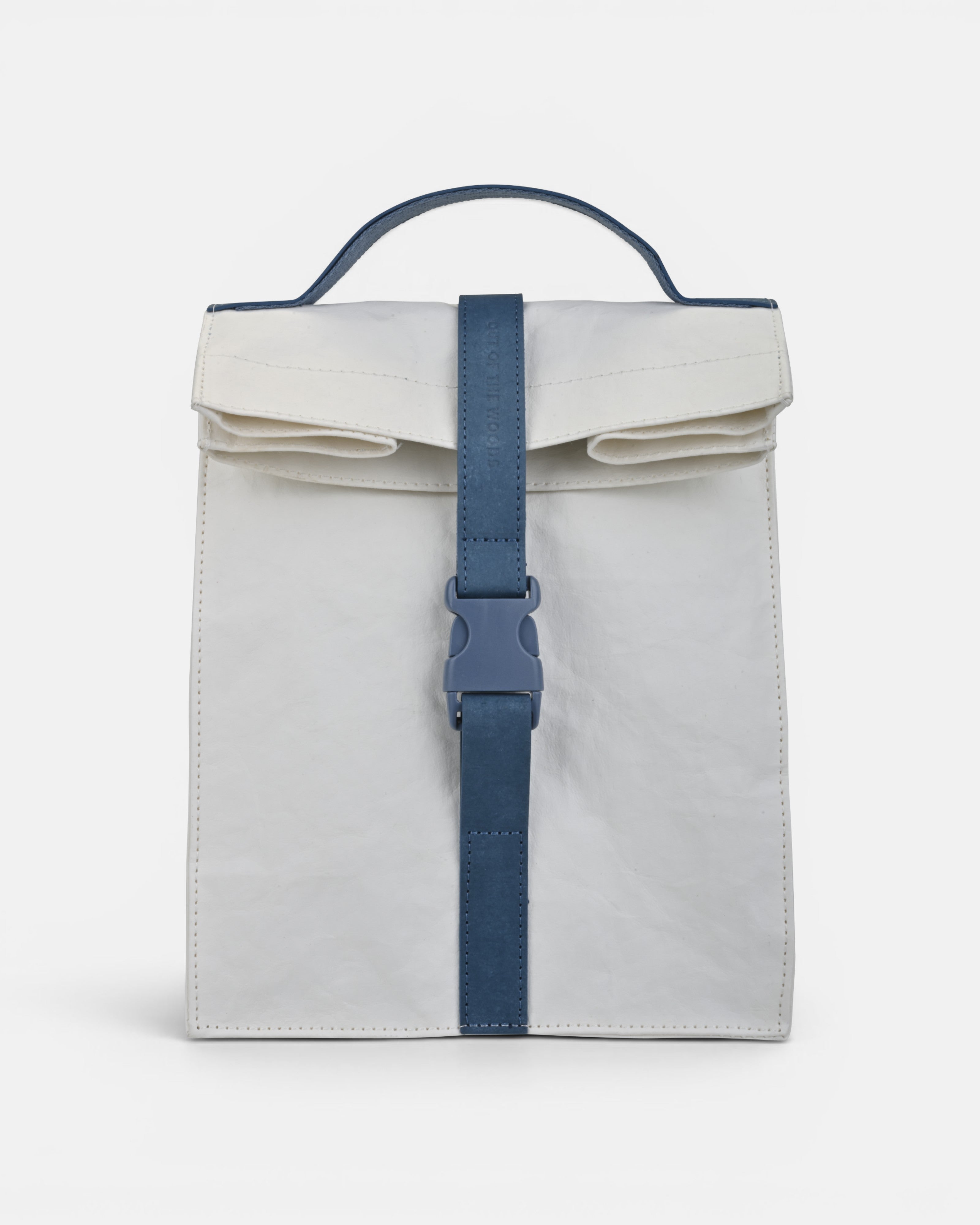 Paper Sack Lunch Cooler